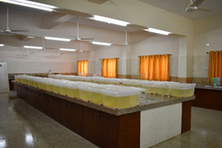 Aquaculture Wet Laboratory