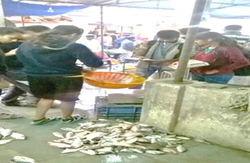 Fish market survey at Navsari