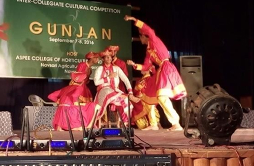 Folk Dance Performed During Cultural Event
