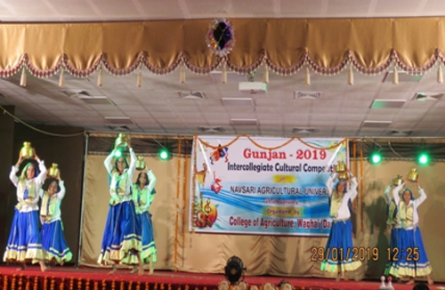 Folk Dance Performed During Cultural Event
