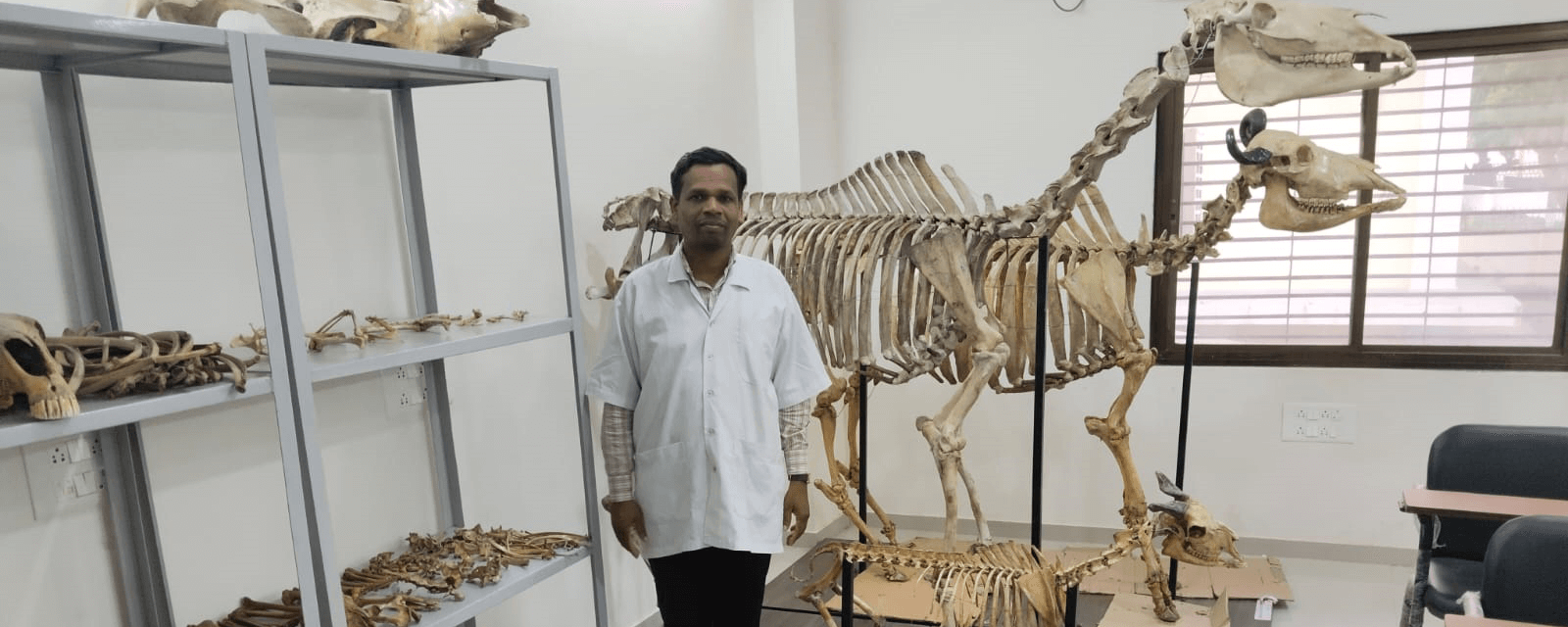 College of Veterinary Science and Animal Husbandry, Bhuj