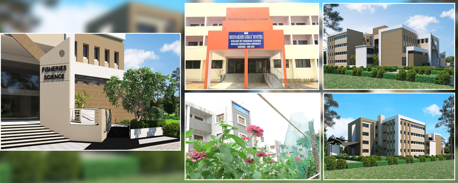 College of Fisheries Science, Kamdhenu University, Navsari, Gujarat.