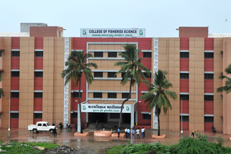 College Campus and Infrastructure Facilities