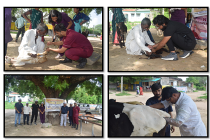 Animal Health Camp Organized By C.V.Sc & A.H, Sardakrushinagar , Kamdhenu University