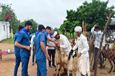 Report Of Training Programme and deworming Camp organized by Pashu Vigyan Kendra, Thara at Village Bhadali(Kantha), Ta. Dantiwada (Banaskantha) on 06/09/2025, Saturaday.