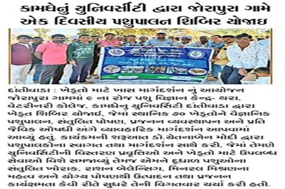 કામધેનું યુનિવર્સિટી દ્વારા જોરાપુરા ગામે એક દિવસીય પશુપાલન શિબિર યોજાઈ કામધેનું યુનિવર્સિટી દ્વારા જોરાપુરા ગામે એક દિવસીય પશુપાલન શિબિર યોજાઈ