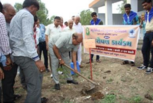 Tree Plantation