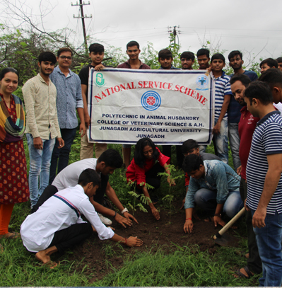 Polytechnic in Animal Husbandry, Kamdhenu University, Junagadh, Gujarat.