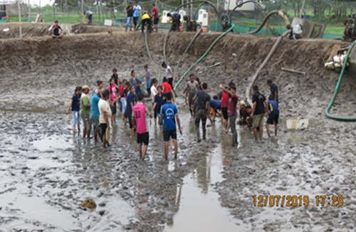 Shrimp Harvesting at Aqua Farm, Danti