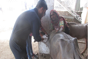 Animal Health Camp