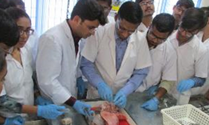Hands-on Training on Wild body programme by Dr. P.V.S. Kishore