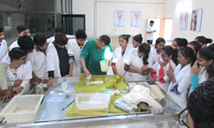HHands-on Training on Dr. S. A. Gaikwad on Fish moulding