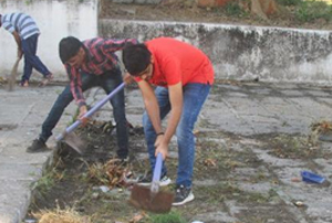 Cleaning Activities in and Around the Satadhar Temple