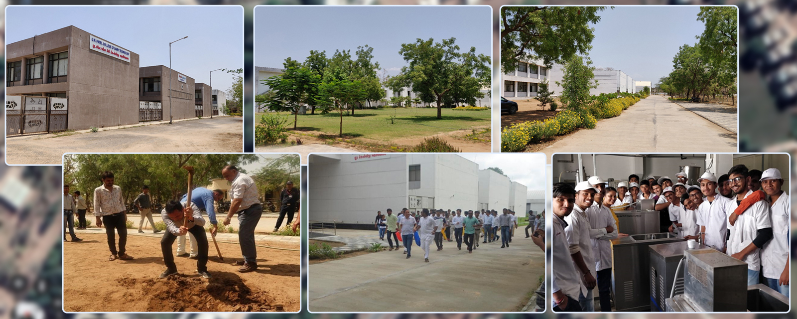 G.N. Patel College of Dairy Science, Kamdhenu University, Gujarat.