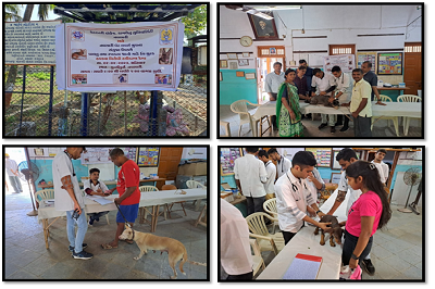 Anti Rabies Vaccination Camp for the Stray Dogs