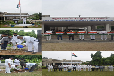 77th Independence Day Celebrated At Veterinary College, Ku, Sardarkrushinagar