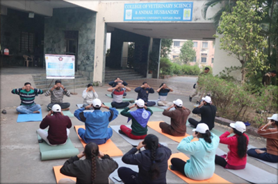 Celebration of World Meditation Day - 2024