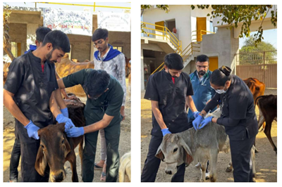 Veterinary Clinical Camp at Alidhra by College of Veterinary Science & A.H., K.U., Junagadh