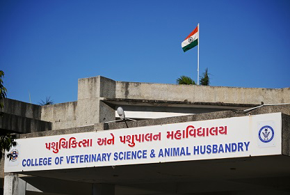 College of Veterinary Science & AH, KU, Sardarkrushinagar