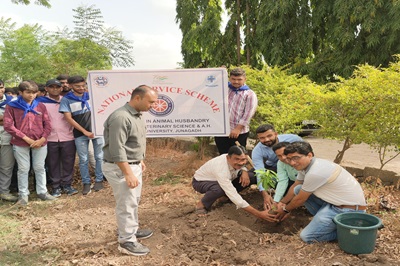 NSS Units of Polytechnic in Animal Husbandry and Veterinary College, KU, Junagadh celebrated "World Environment Day"