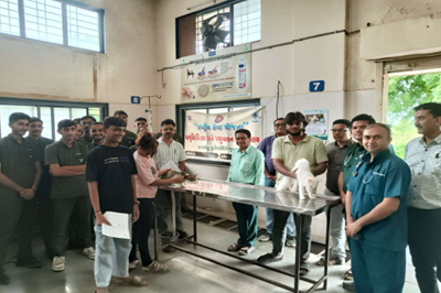 "International Cat Day -2025" celebration under the aegis of NSS Unit & Department of Medicine, College of Veterinary Science & Animal Husbandry, Junagadh