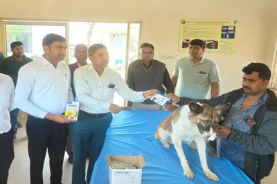પશુપાલન તથા પ્રાણી કલ્યાણ જાગૃતિ માસ-૨૦૨૬ અંતર્ગત તા. ૧૧/૦૨/૨૦૨૬ના રોજ ડીસામાં નિઃશુલ્ક શ્વાન રેબીઝ રસીકરણ કેમ્પનું સફળ આયોજન