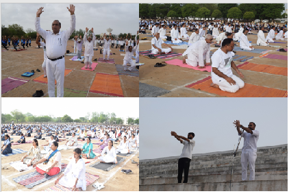 International Yoga Day Celebration