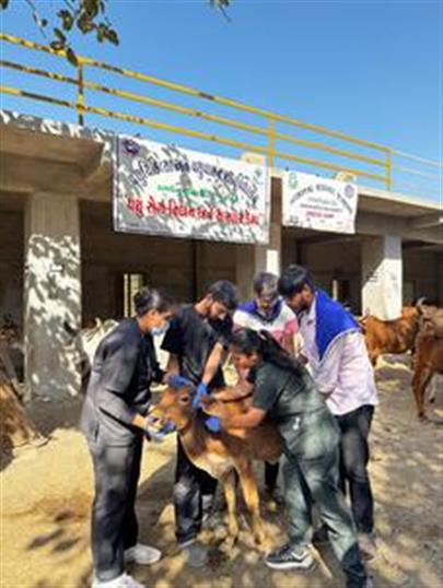 Veterinary Clinical Camp at Alidhra by College of Veterinary Science & A.H., K.U., Junagadh