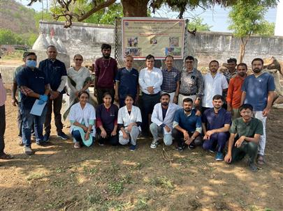Camel Disease Diagnosis and Treatment Camp 13-05-2025