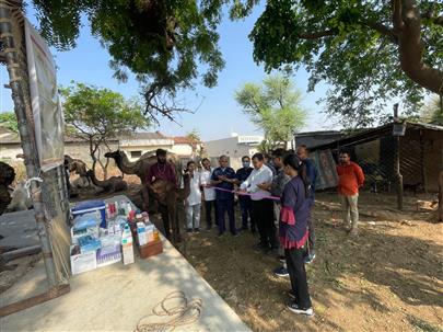 "Camel Disease Diagnosis and Treatment Camp"