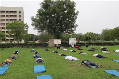 International Yoga Day Celebration 2025