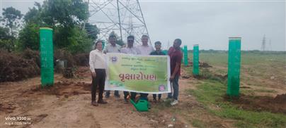 કામધેનુ યુનિવર્સિટી ધ્વારા રોહિકા, ભામસરા ખાતે વૃક્ષારોપણ કાર્યક્રમ ઉજવવામાં આવ્યો