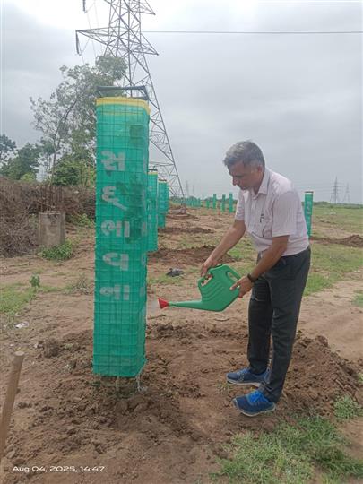 કામધેનુ યુનિવર્સિટી ધ્વારા રોહિકા, ભામસરા ખાતે વૃક્ષારોપણ કાર્યક્રમ ઉજવવામાં આવ્યો