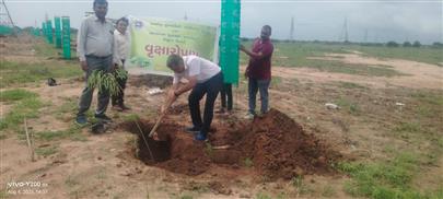 કામધેનુ યુનિવર્સિટી ધ્વારા રોહિકા, ભામસરા ખાતે વૃક્ષારોપણ કાર્યક્રમ ઉજવવામાં આવ્યો