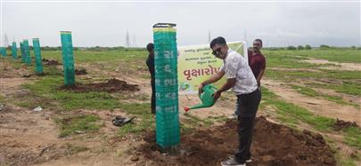 કામધેનુ યુનિવર્સિટી ધ્વારા રોહિકા, ભામસરા ખાતે વૃક્ષારોપણ કાર્યક્રમ ઉજવવામાં આવ્યો