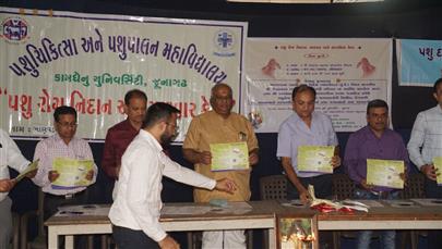 ભાણવડ ગામ ખાતે પશુ રોગ નિદાન અને સારવાર મેગા કેમ્પનું આયોજન