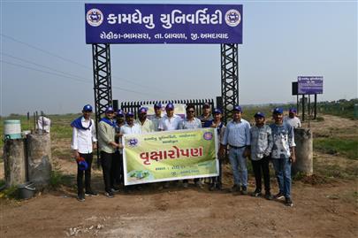 કામધેનુ યુનિવર્સિટી ધ્વારા રોહિકા, તા.બાવળા ખાતે વૃક્ષારોપણ કાર્યક્રમ યોજાયો.