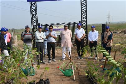 કામધેનુ યુનિવર્સિટી ધ્વારા રોહિકા, તા.બાવળા ખાતે વૃક્ષારોપણ કાર્યક્રમ યોજાયો.