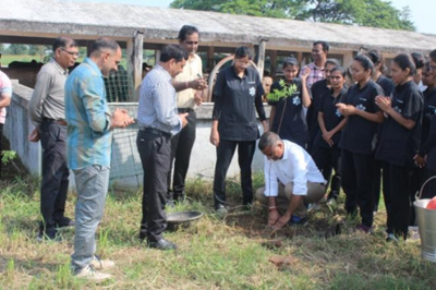 Tree Plantation at Livestock Research Station, Kamdhenu University, Navsari