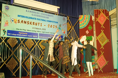 CDS, Amreli students actively participated in the Inter-College Folk Dance Competition 2024-25