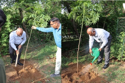 World Environment Day