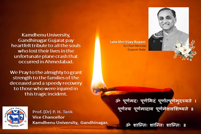 Tribute to all the souls who lost their lives in the unfortunate plane crash in Ahmedabad.