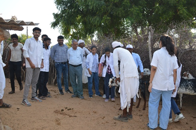 A Report of Pashupalak Shibir and Deworming Camp organized by Pashu Vigyan Kendra, Thara at Village Atal, Juval and Marwada, Ta. Dantiwada (Banaskantha) on 12/06/2025, Thursday