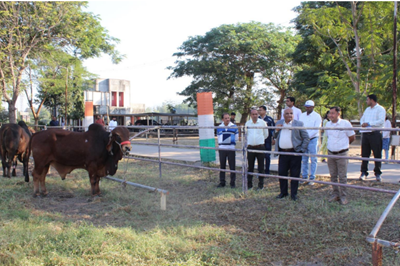 Hon’ble Vice Chancellor's visit of Cattle Breeding Farm, Junagadh