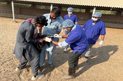 Clinical camp-cum-Goshthi organized by the Veterinary Clinical Complex, CoVSAH, KU, Bhuj for the benefit of livestock holders of Village Hodako Clinical camp-cum-Goshthi organized by the Veterinary Clinical Complex, CoVSAH, KU, Bhuj for the benefit of livestock holders of Village Hodako